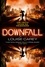 Downfall. The breakneck conclusion to the gripping cyberthriller series