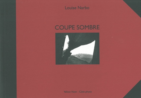 Louise Narbo - Coupe sombre - Un journal traversé.