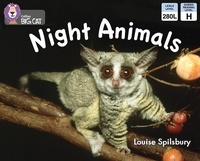 Louise Spilsbury - Night Animals - Yellow/ Band 3.
