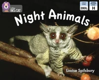 Night Animals