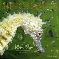Hippocampes