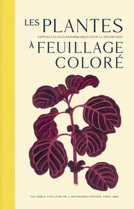 Les plantes à feuillage coloré