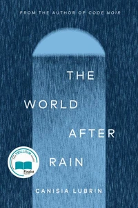 The World After Rain