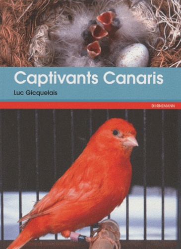 Luc Gicquelais - Captivants canaris - Canaris de couleurs, de chants, de postures et frisés.