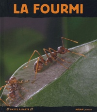 Luc Gomel - La Fourmi.