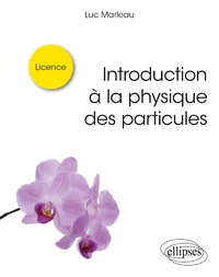Introduction à la physique des particules