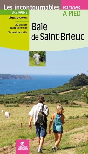 Luc Rodaro - Baie de Saint-Brieuc.