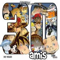 30 amis