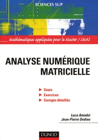 Luca Amodei et Jean-Pierre Dedieu - Analyse numérique matricielle - Cours et exercices corrigés.