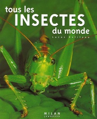 Lucas Baliteau - Tous les insectes du monde.