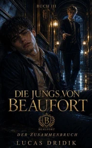 Die Jungs von Beaufort: Buch 3