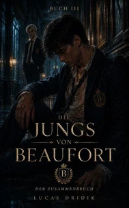 Die Jungs von Beaufort: Buch Drei