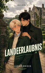 Liebe in 30.000 Fuß: Landeerlaubnis