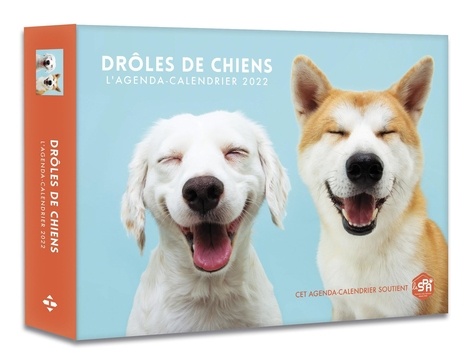 Luce Valli et Audrey Messiaen - L'agenda-calendrier Drôles de chiens.