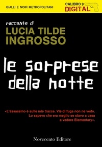 Lucia Tilde Ingrosso - Le sorprese della notte.