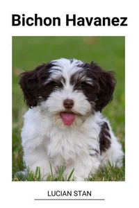 Bichon Havanez
