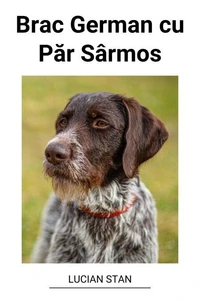 Brac German cu Păr Sârmos
