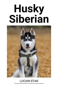 Husky Siberian