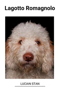 Lagotto Romagnolo