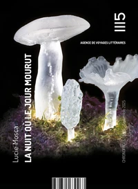 La nuit où le jour mourut