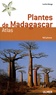 Lucile Allorge - Plantes de Madagascar - Atlas. 1 Cédérom