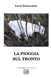 La pioggia sul Tronto