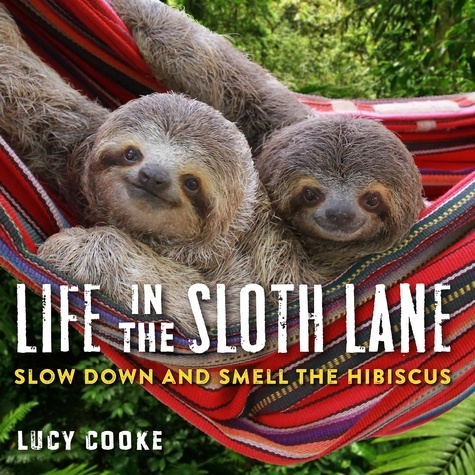 Life in the Sloth Lane. Slow Down and Smell the Hibiscus