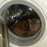 kleiner Gast im Tierparadies