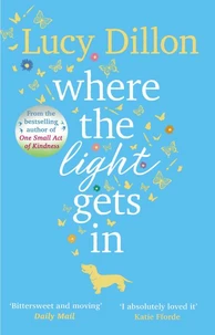 Where The Light Gets In