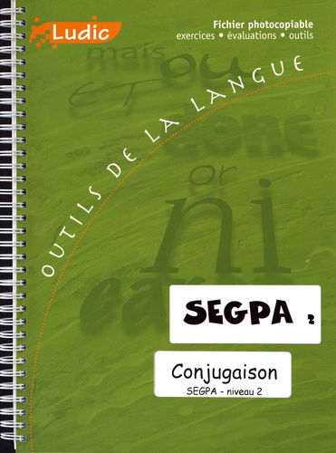  Ludic - Conjugaison SEGPA niveau 2 - Fiches exercices, fiches évaluation.