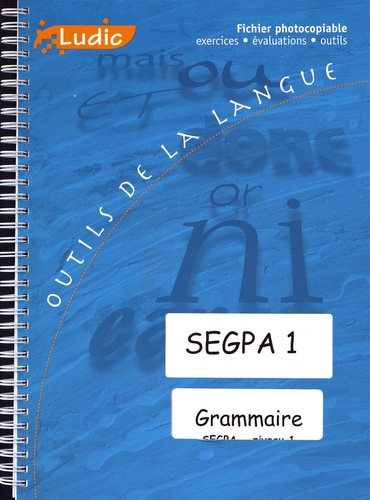  Ludic - Grammaire SEGPA niveau 1 - Fiches exercices, fiches évaluation.