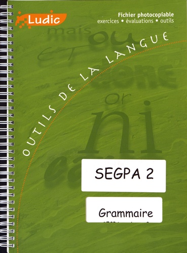  Ludic - Grammaire SEGPA niveau 2 - Fiches exercices, fiches évaluation.