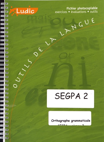  Ludic - Orthographe grammaticale SEGPA niveau 2 - Fiches exercices, fiches évaluation.