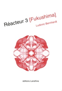 Ludovic Bernhardt - Réacteur 3 Fukushima.