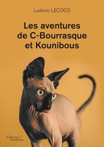 Les aventures de C-Bourrasque et Kounibous