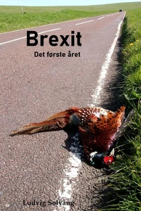 Brexit Det første året