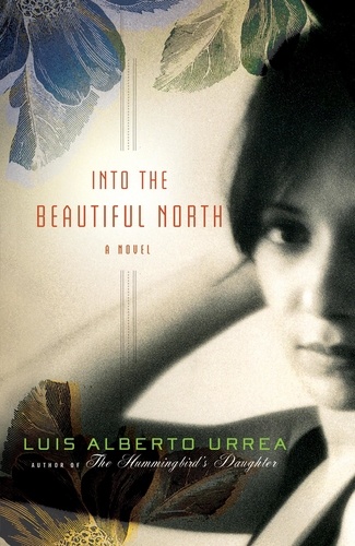 Into the Beautiful North. A Novel