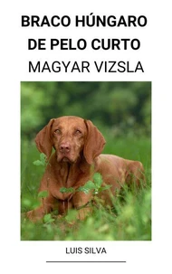 Braco Húngaro de pelo curto (Magyar Vizsla)