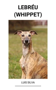 Lebréu (Whippet)