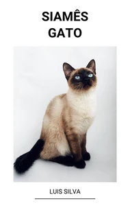 Siamês (Gato)