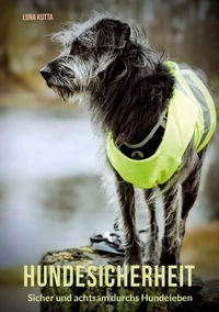 Hundesicherheit