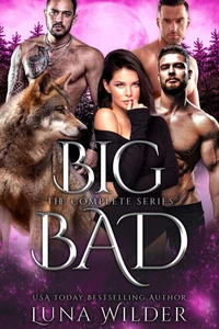 Big Bad: La serie completa