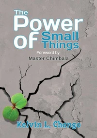 The Power of Small Things