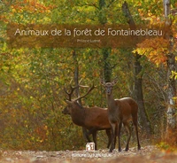 Animaux de la forêt de Fontainebleau
