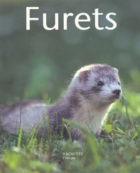 Furets