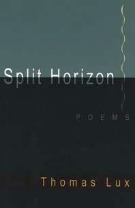 Split Horizon