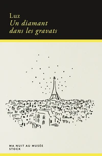 Un diamant dans les gravats