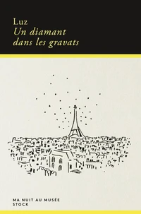 Un diamant dans les gravats