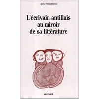 L'écrivain antillais au miroir de sa littérature