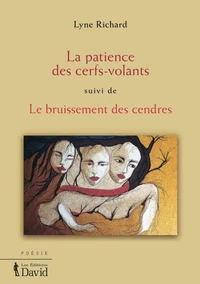 La patience des cerfs-volants